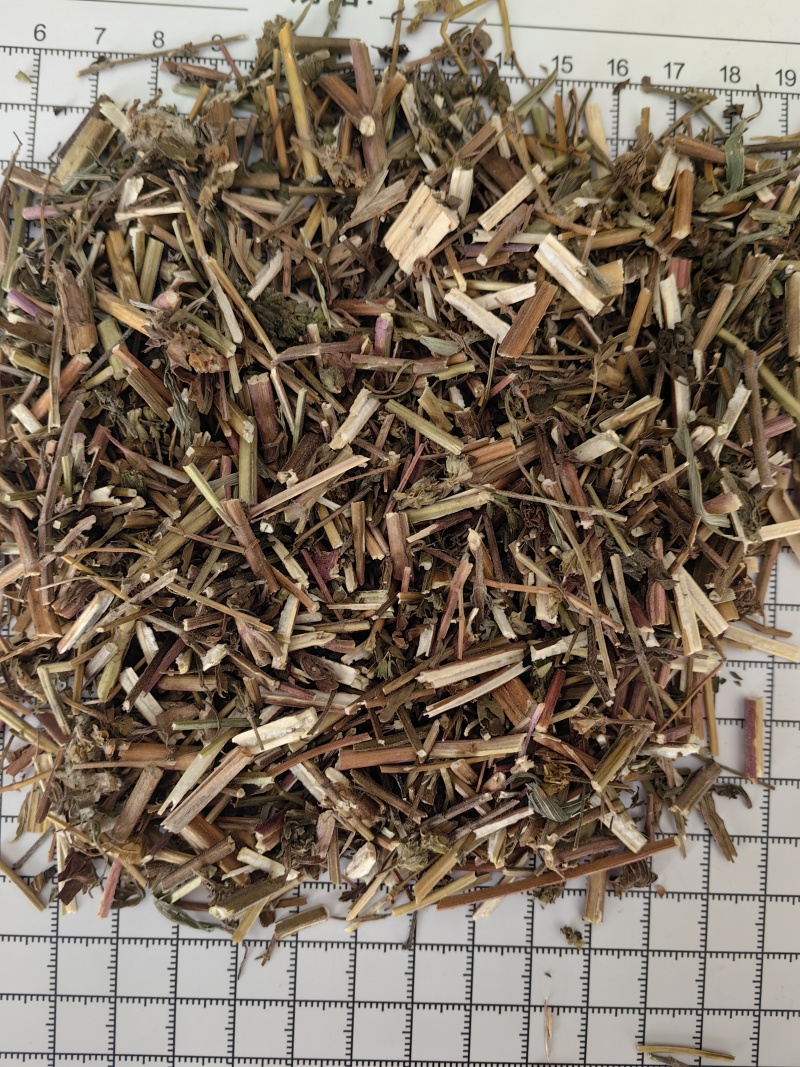 荆芥全荆芥新货颜色好优质除尘产地直销一手货源中药材