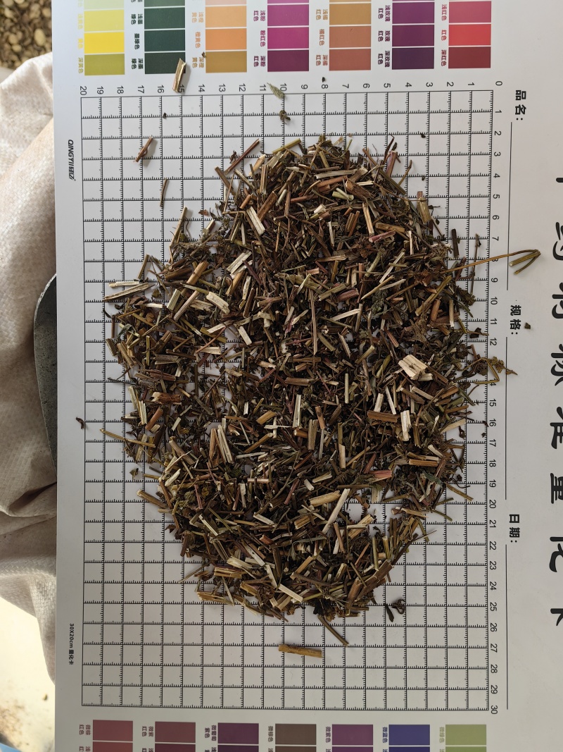 荆芥全荆芥新货颜色好优质除尘产地直销一手货源中药材