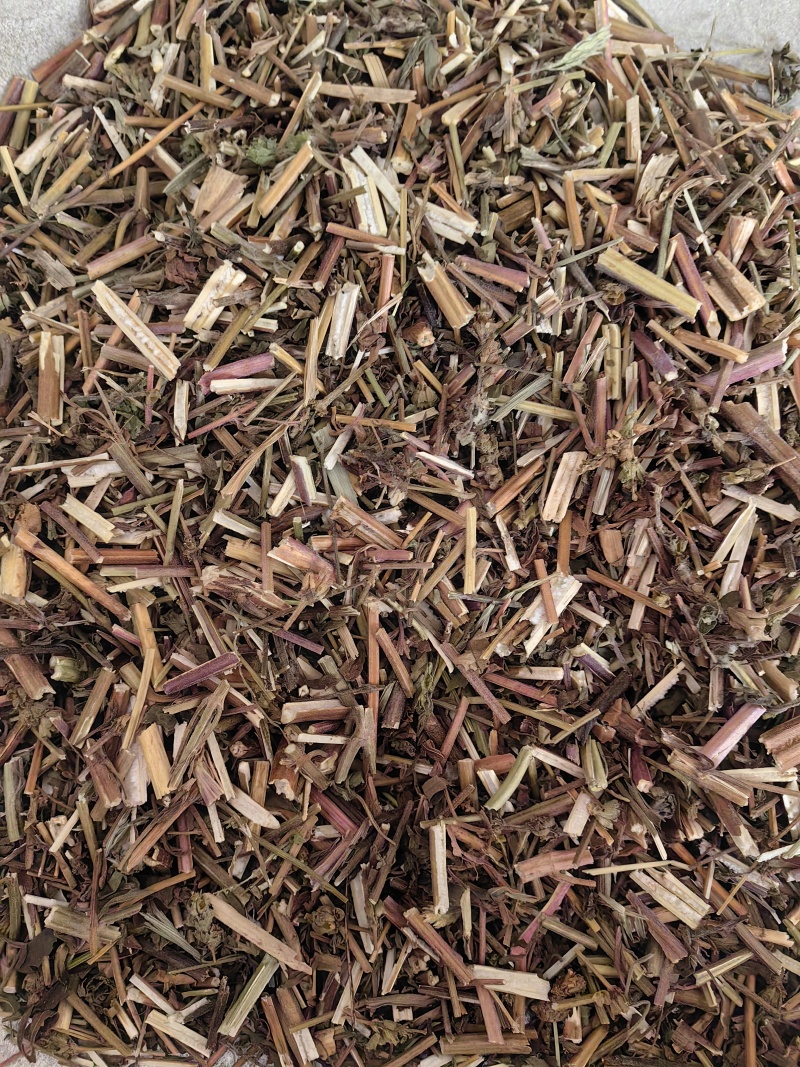 荆芥全荆芥新货颜色好优质除尘产地直销一手货源中药材