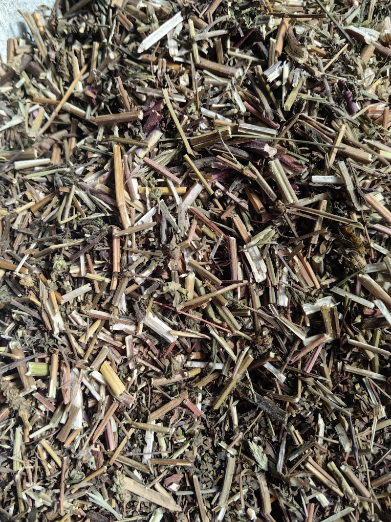 荆芥全荆芥新货颜色好优质除尘产地直销一手货源中药材