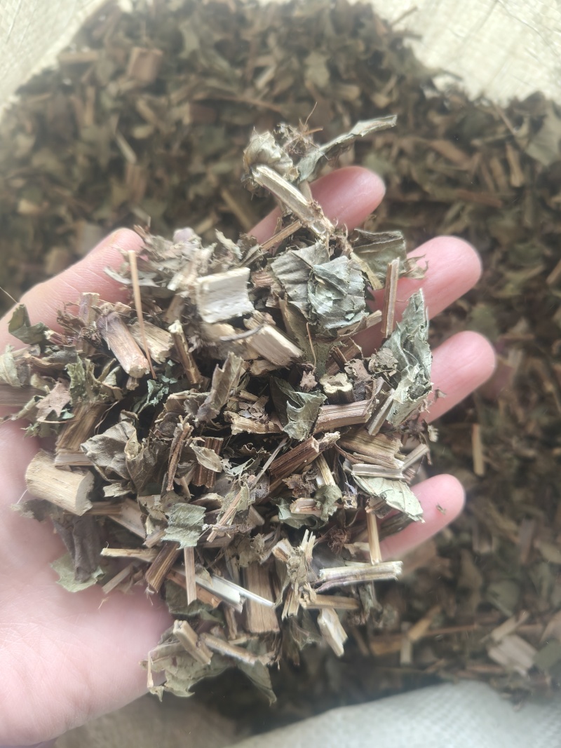 泽兰产地山东祥泰药材栈中药材批发零售实物拍摄量多从优