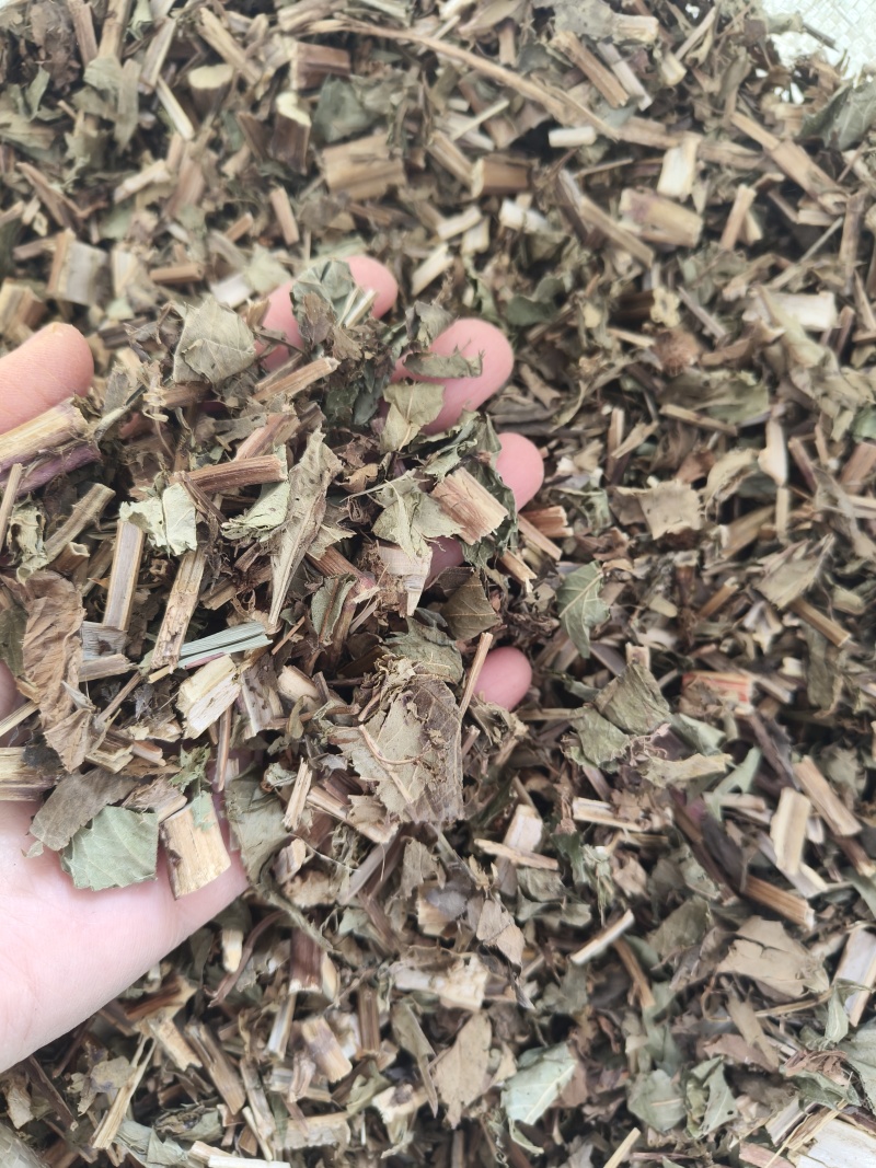 泽兰产地山东祥泰药材栈中药材批发零售实物拍摄量多从优