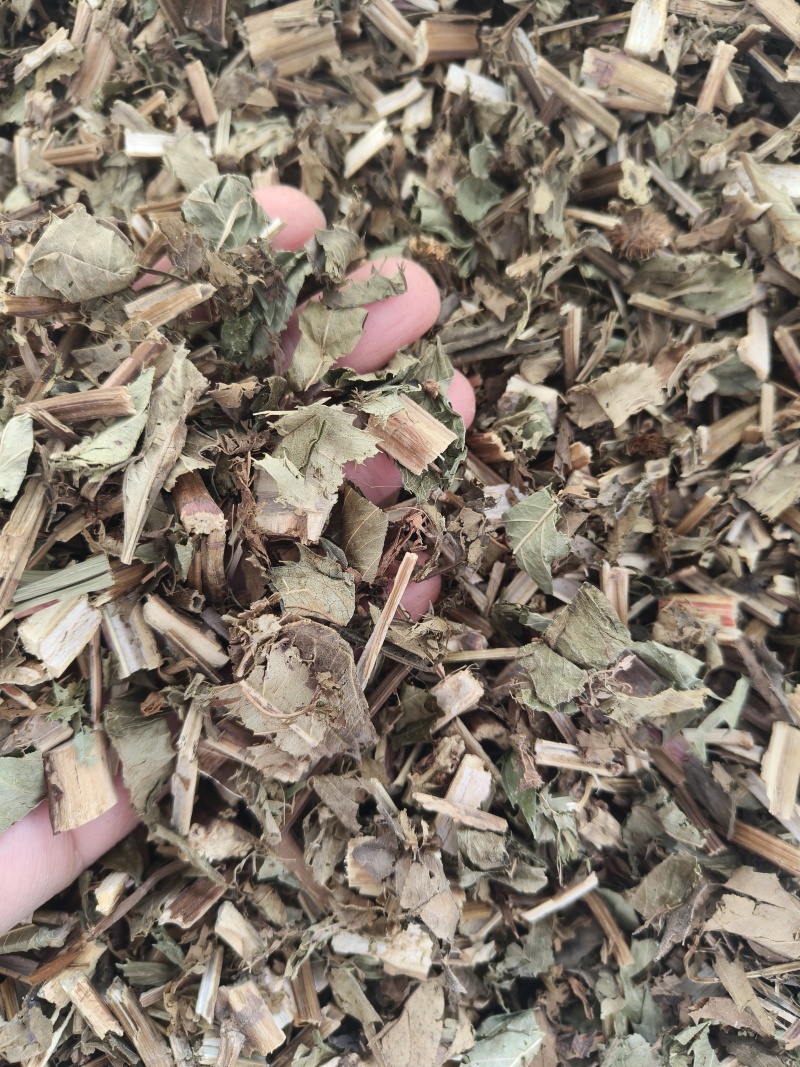 泽兰产地山东祥泰药材栈中药材批发零售实物拍摄量多从优