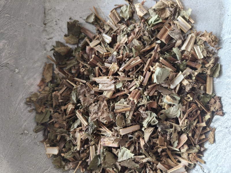 泽兰产地山东祥泰药材栈中药材批发零售实物拍摄量多从优