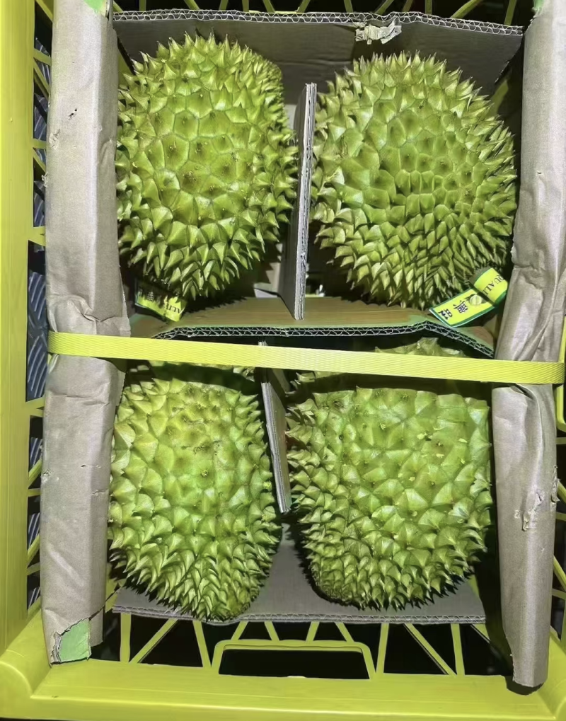 干尧榴莲便宜卖了包开包甜个个圆润饱满欢迎各大批发商来调货