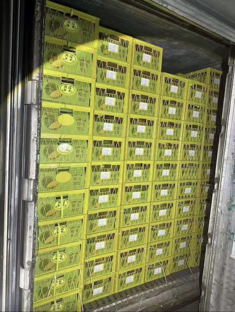 干尧榴莲便宜卖了包开包甜个个圆润饱满欢迎各大批发商来调货