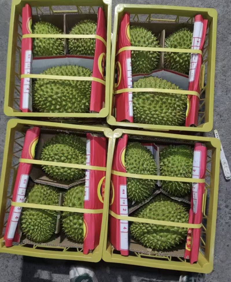 干尧榴莲便宜卖了包开包甜个个圆润饱满欢迎各大批发商来调货