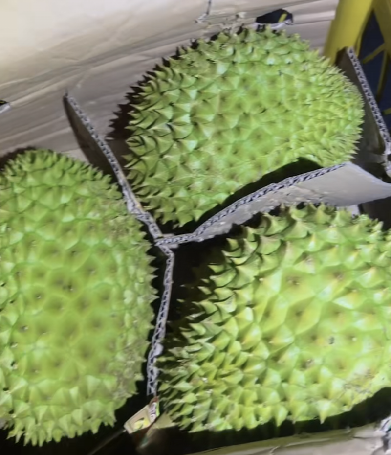 干尧榴莲便宜卖了包开包甜个个圆润饱满欢迎各大批发商来调货