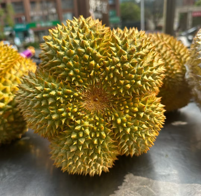 甲仑榴莲果型**好每一个都有五防以上甜度**高
