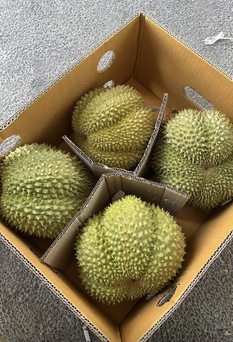 甲仑榴莲果型**好每一个都有五防以上甜度**高