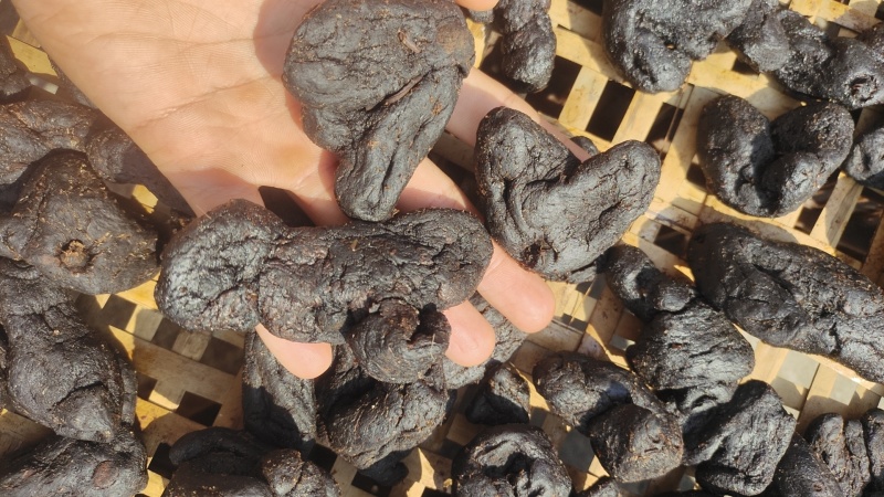 黄酒炮制九蒸九晒的黄精黄精片软糯香甜可泡茶直接食用