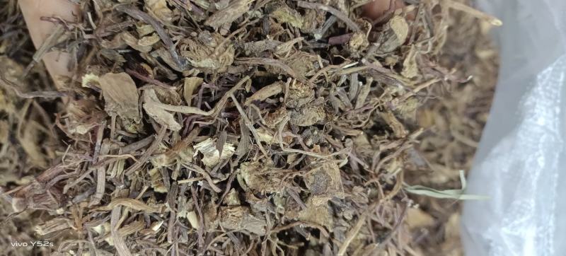 紫菀制紫菀生紫菀量大丛优一斤也批发