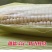 绿领萃甜糯518白甜糯玉米种籽子春秋早熟高产甜玉米种甜
