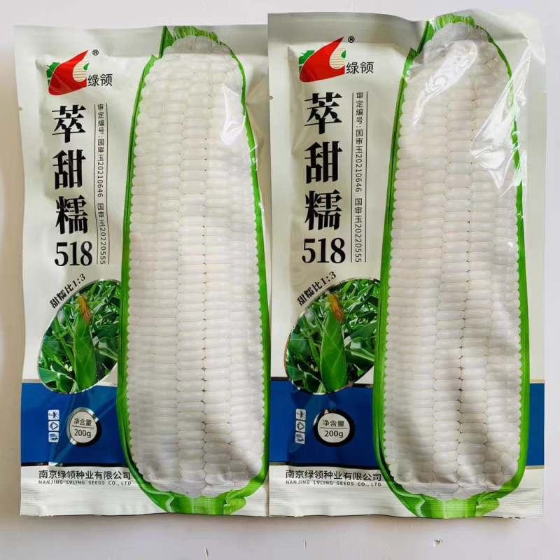 绿领萃甜糯518白甜糯玉米种籽子春秋早熟高产甜玉米种甜