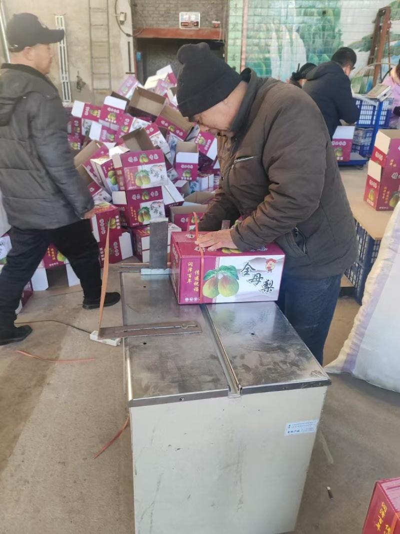 库尔勒香梨礼盒香梨现货供应保质保量产地直供一手货源