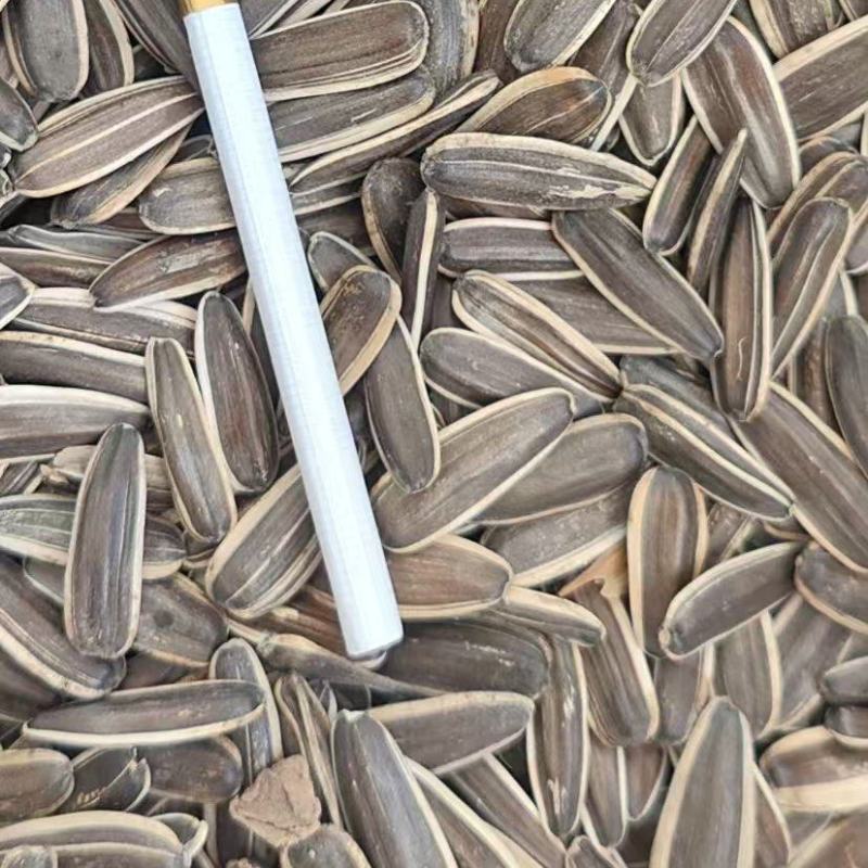 瓜子生熟都有葵花籽全国发货整车发货电商团购工厂货欢迎选购