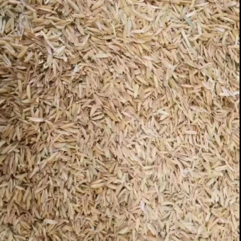 稻壳，稻糠