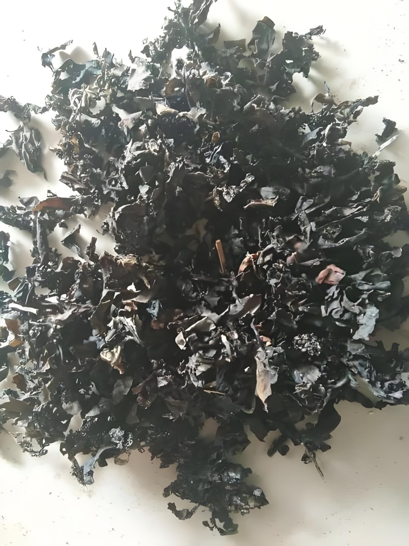 海藻小叶海藻水洗无杂质产地直销一手货源批发各种中药材