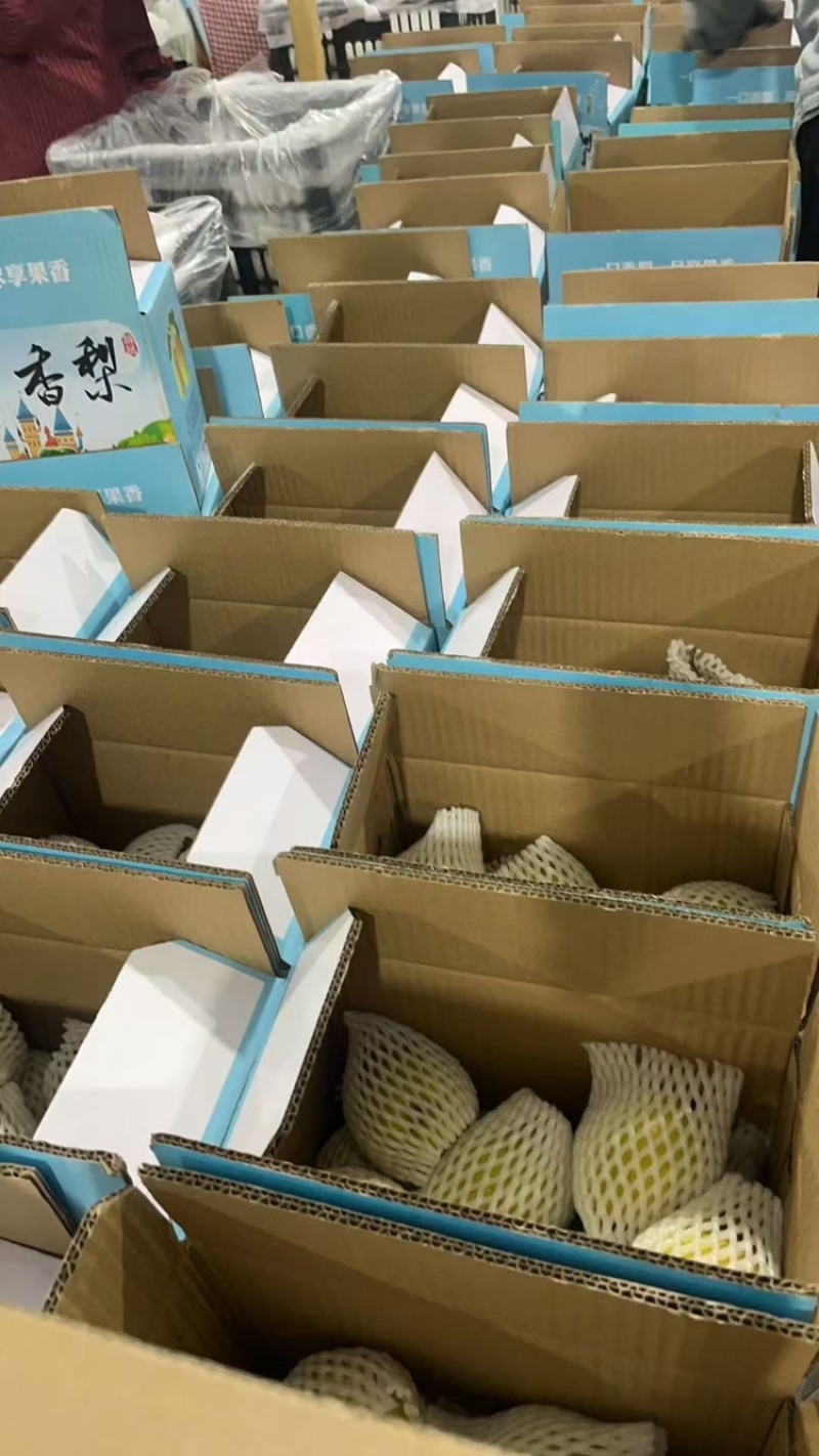 库尔勒香梨礼盒香梨现货供应保质保量产地直供一手货源