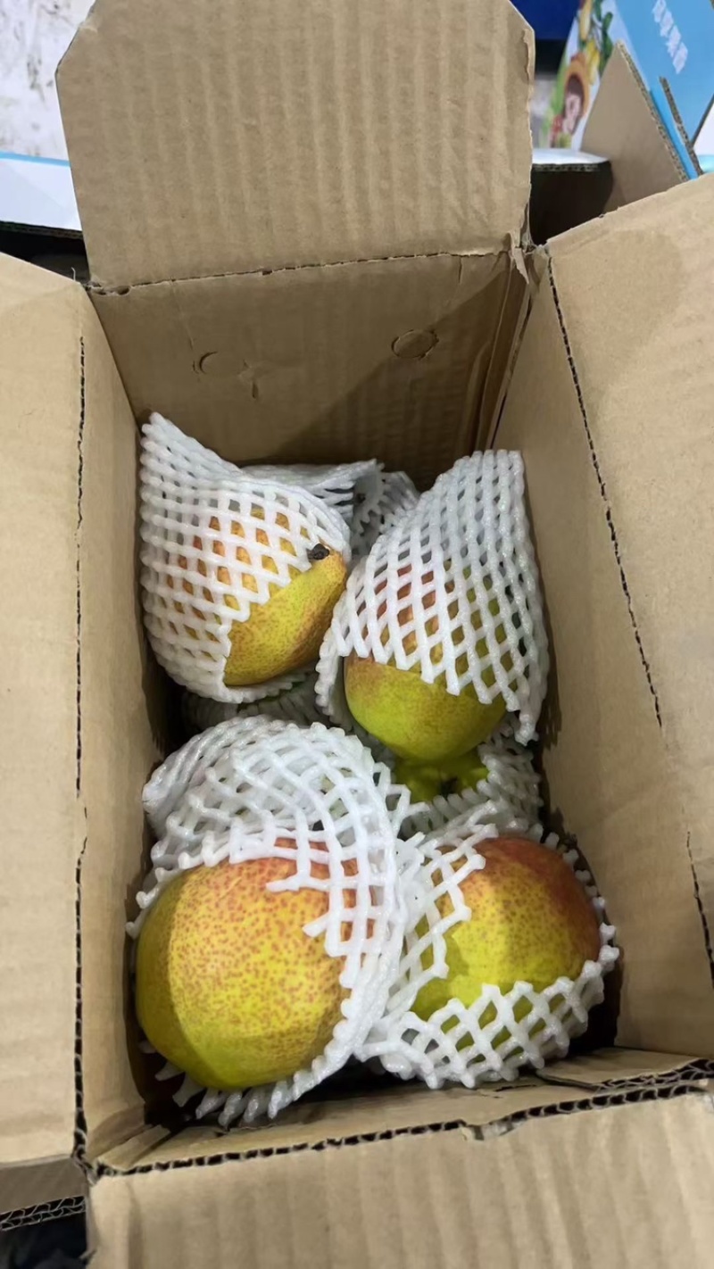 库尔勒香梨礼盒香梨现货供应保质保量产地直供一手货源