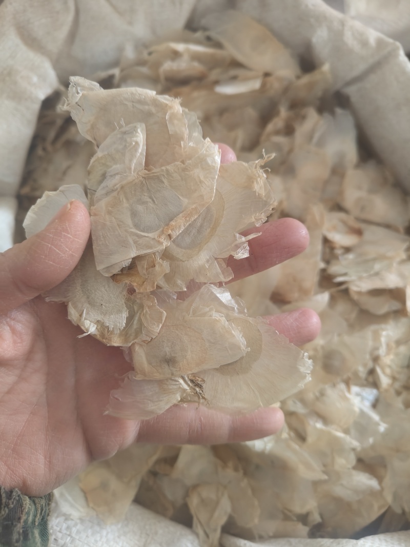 木蝴蝶薄片祥泰药材栈中药材批发零售实物拍摄量多从优欢