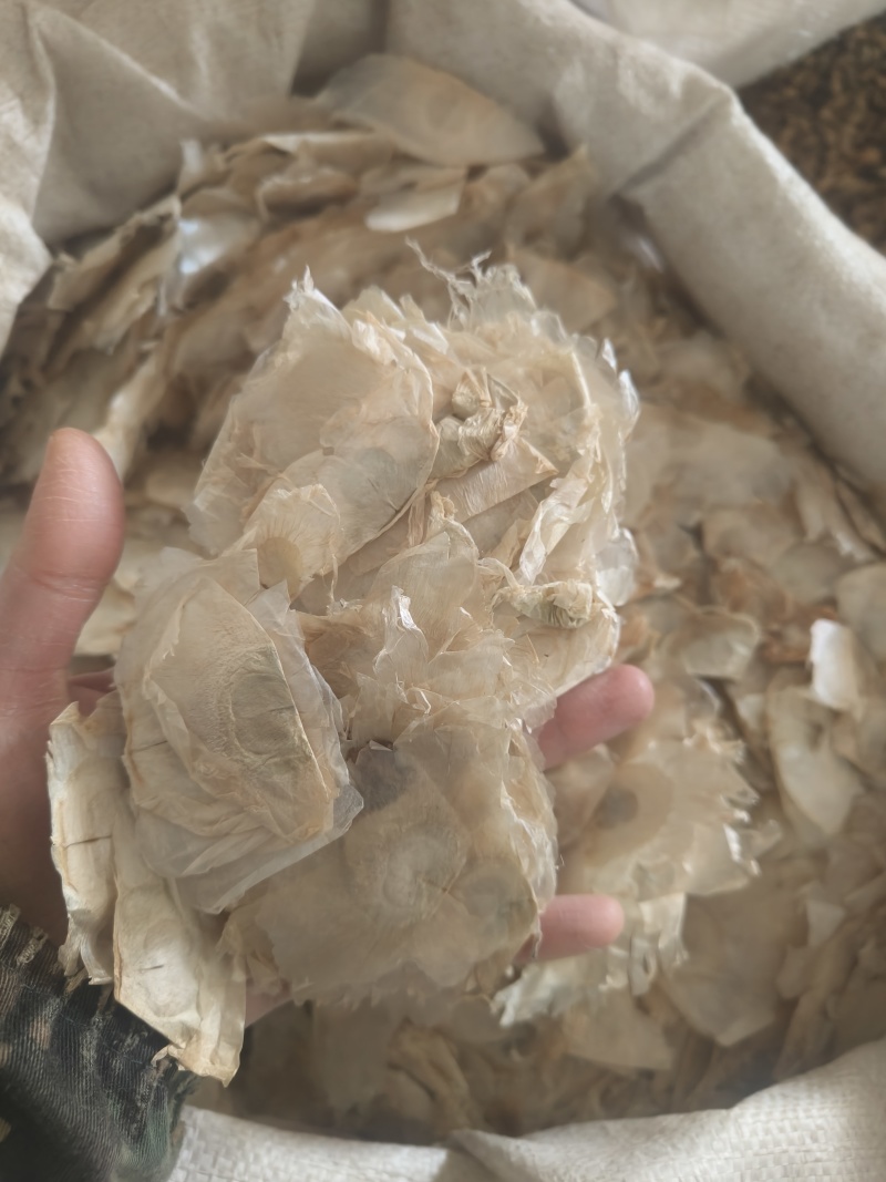 木蝴蝶薄片祥泰药材栈中药材批发零售实物拍摄量多从优欢