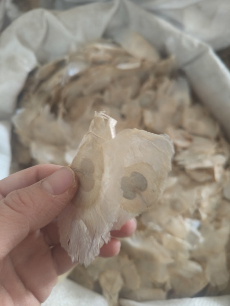 木蝴蝶薄片祥泰药材栈中药材批发零售实物拍摄量多从优欢