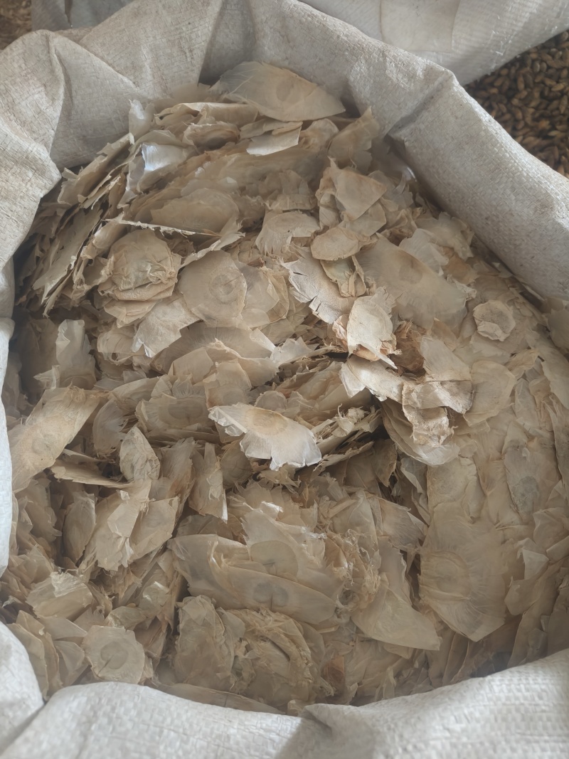 木蝴蝶薄片祥泰药材栈中药材批发零售实物拍摄量多从优欢