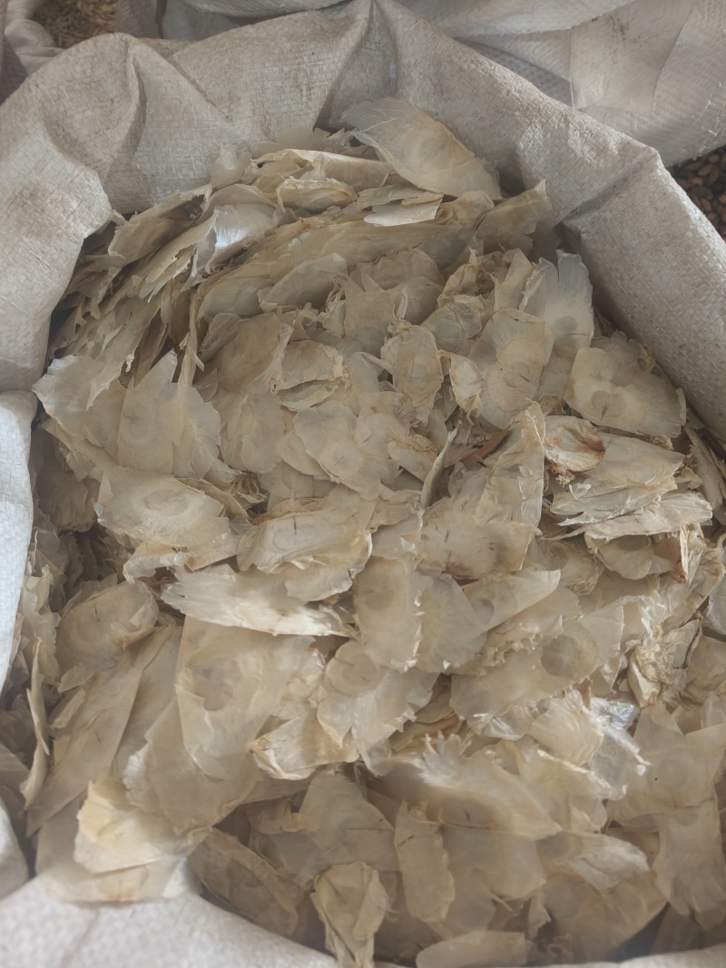 木蝴蝶薄片祥泰药材栈中药材批发零售实物拍摄量多从优欢