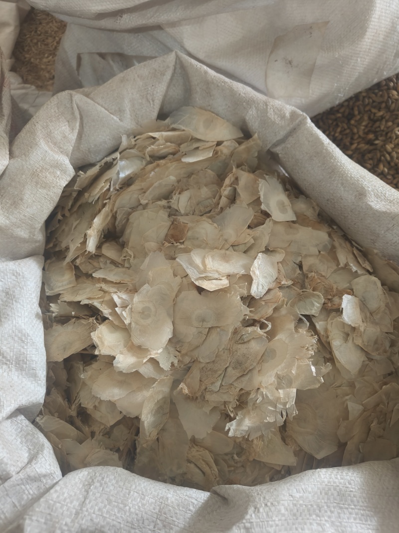 木蝴蝶薄片祥泰药材栈中药材批发零售实物拍摄量多从优欢