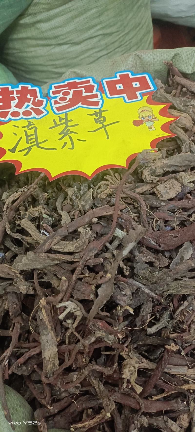 紫草滇紫草