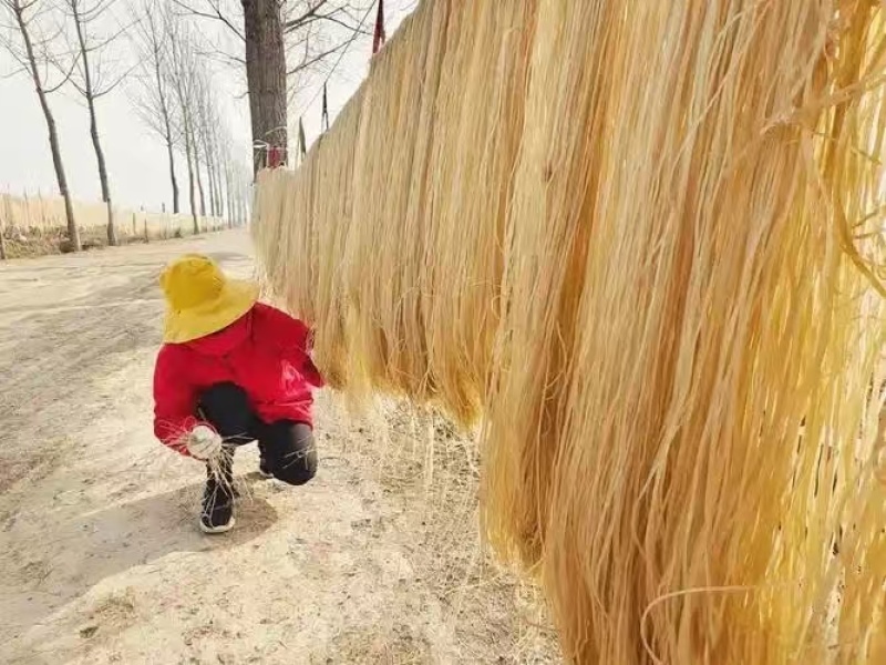 红薯粉条/手工粉条/纯红薯粉/质量三包/供应全国批发零售