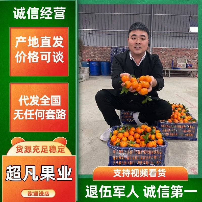 广西荔浦砂糖橘桔您的需求我来解决本人无任何套路诚信