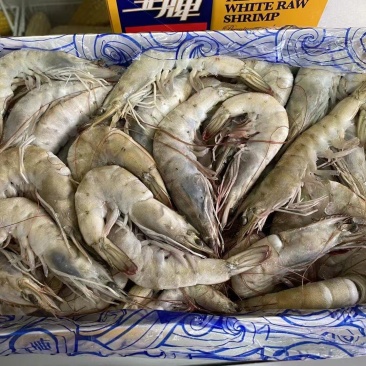 王牌虾