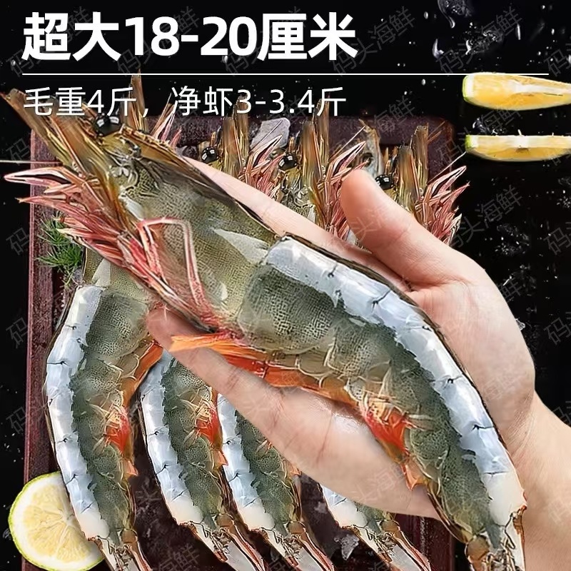 王牌虾