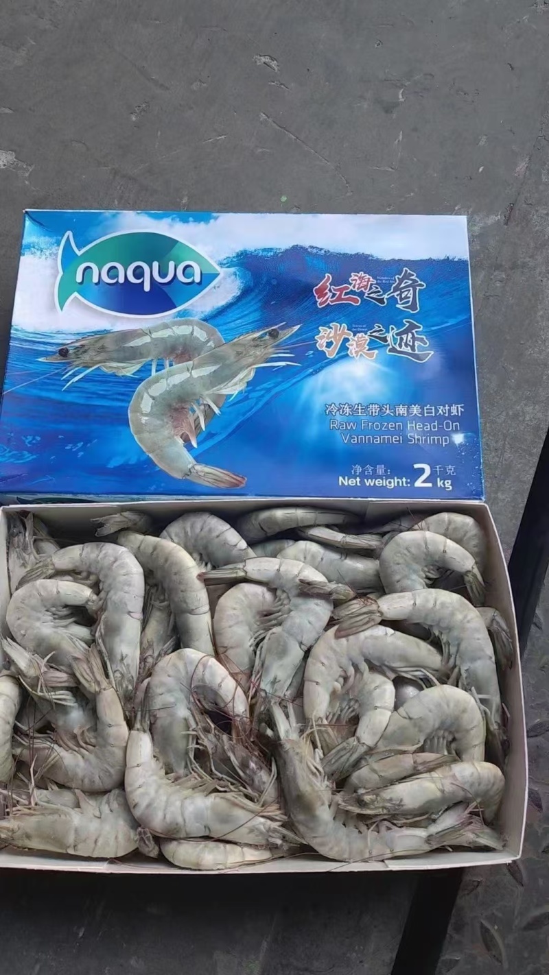 王牌虾