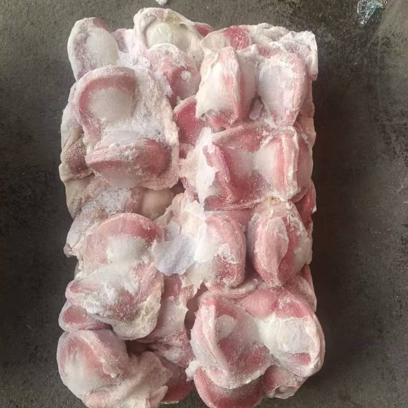 鹅胗