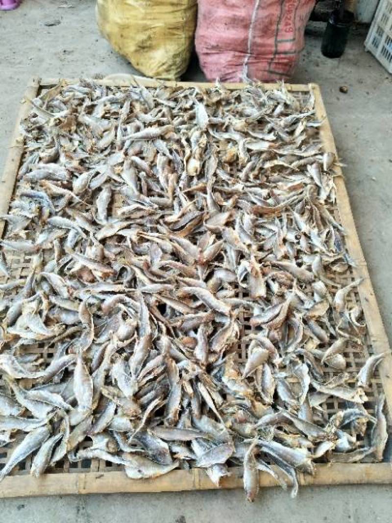 新鲜手工鱼干，去头，去肠，7成干，13元一斤，