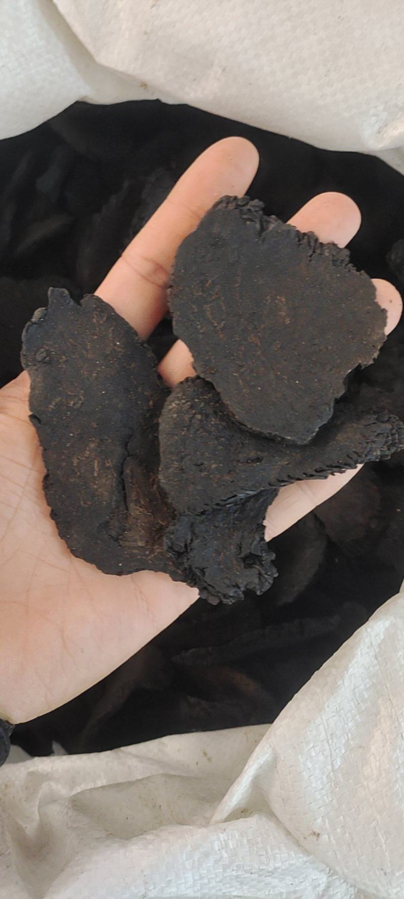 新疆精品软肉苁蓉黑片生切片药食同源产地直发