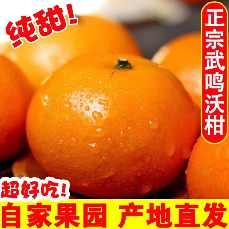 广西武鸣沃柑3/5/10斤新鲜水果桔子非丑橘子整箱批发包