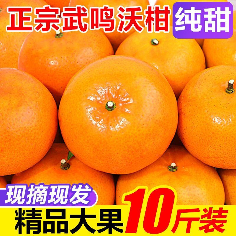 广西武鸣沃柑3/5/10斤新鲜水果桔子非丑橘子整箱批发包