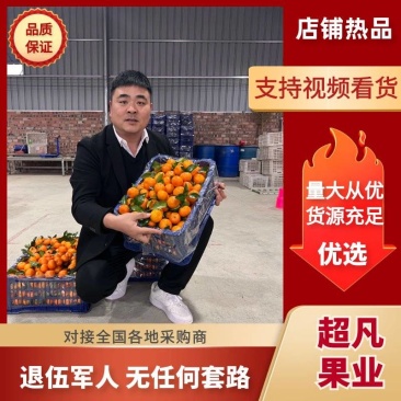广西桂林砂糖橘常年供货让您放心安心货源多多有优惠