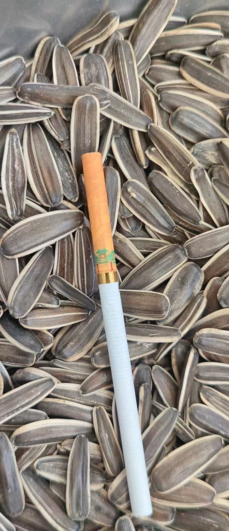 瓜子生熟都有葵花籽全国发货整车发货电商团购工厂货欢迎选购