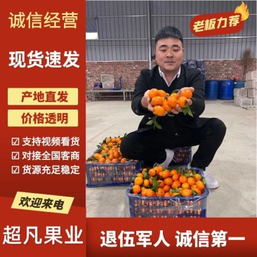 广西象州区砂糖橘-桔本人退伍军人诚信至上您需要找我