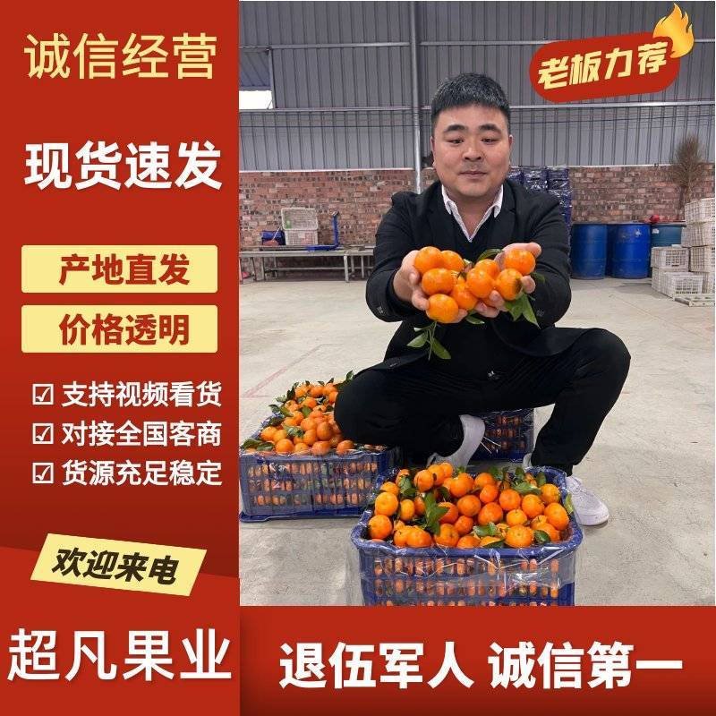 广西象州区砂糖橘-桔本人退伍军人诚信至上您需要找我