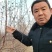2公分苹果树苗3公分4公分苹果树5公分苹果树