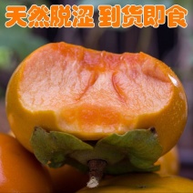 陕西脆柿子无核甜柿新鲜当季水果现摘糖心巧克力脆皮柿子大果