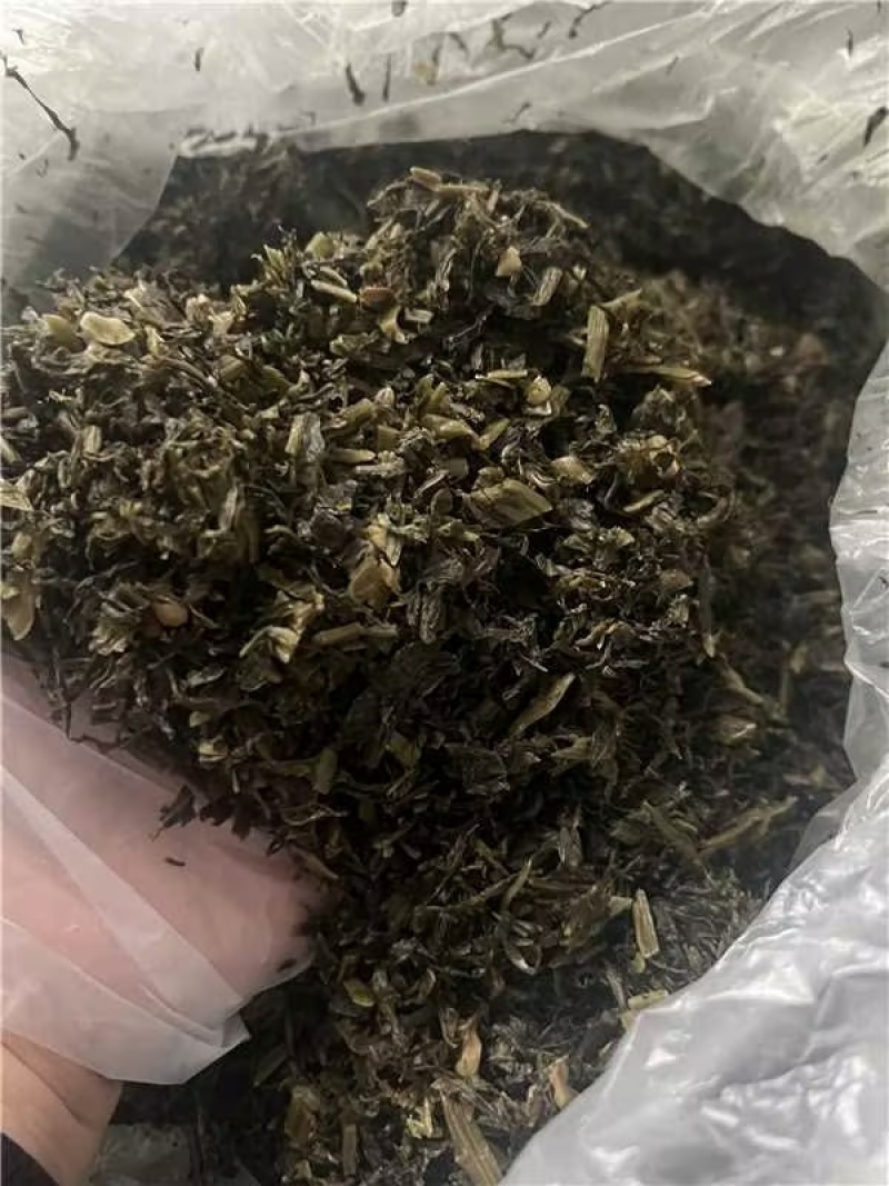 腌制雪里蕻盐菜，大量供应保证质量欢迎电话联系