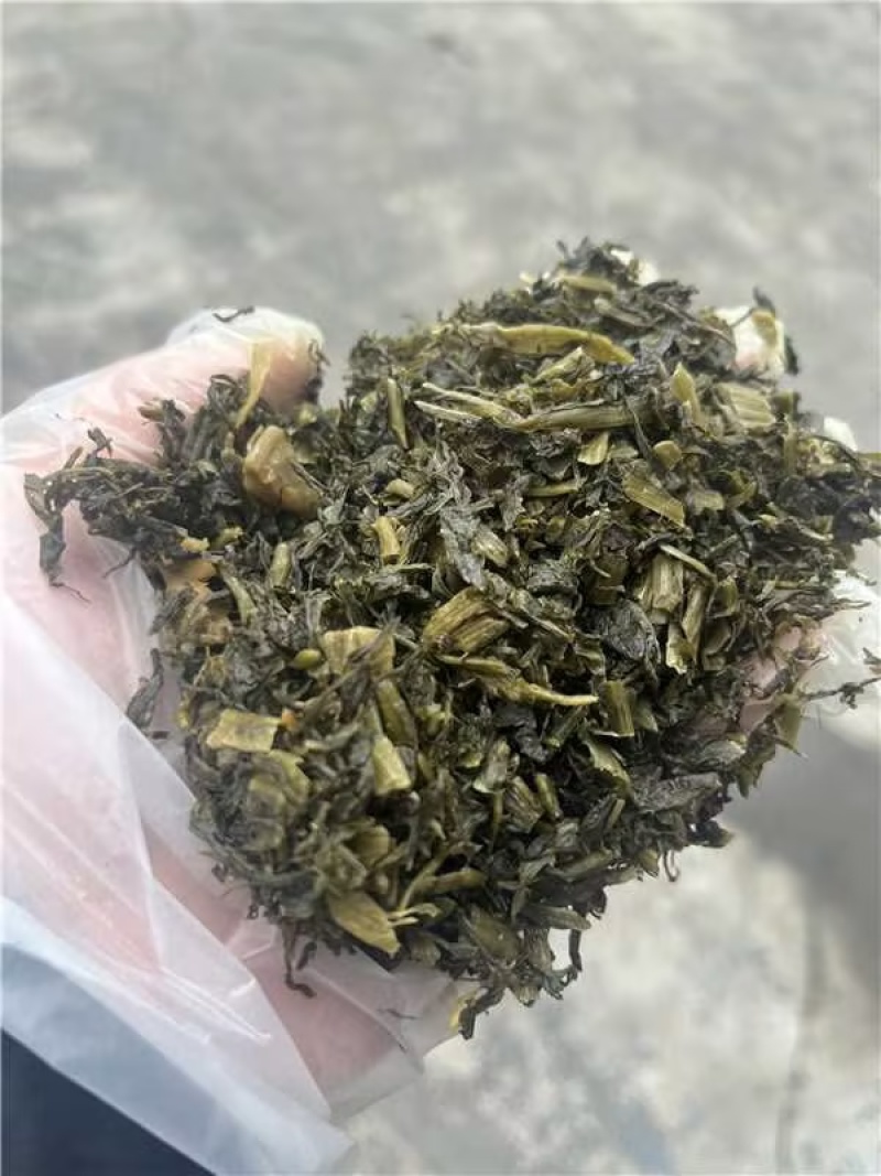 腌制雪里蕻盐菜，大量供应保证质量欢迎电话联系
