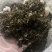 腌制雪里蕻盐菜，大量供应保证质量欢迎电话联系